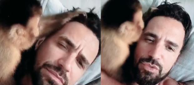 Latino “apanha” da macaca Ana Paula. (Foto: Reprodução/Instagram) Latino “apanha” da macaca Ana Paula. (Foto: Reprodução/Instagram)