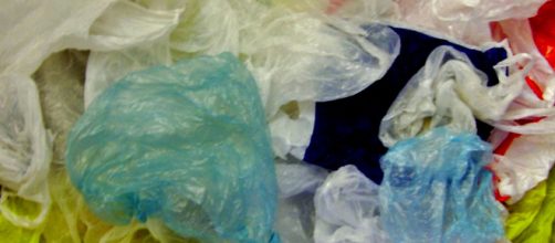 Chile bans the commercial use of plastic bags. [Image Trosmisiek/Wikimedia]