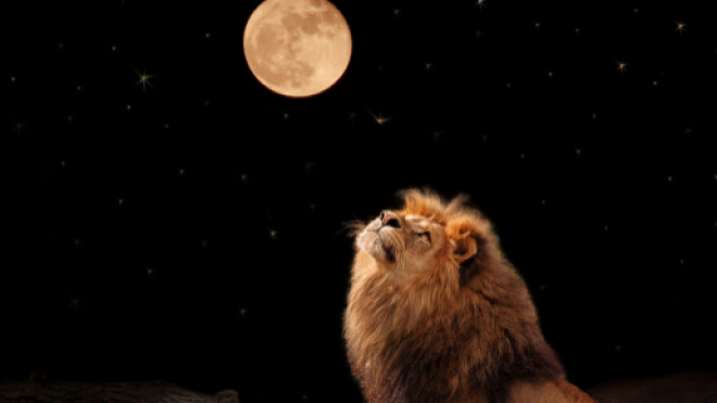 Oroscopo venerdì 10 agosto 2018: Luna in Leone, favoriti in amore pochi segni.