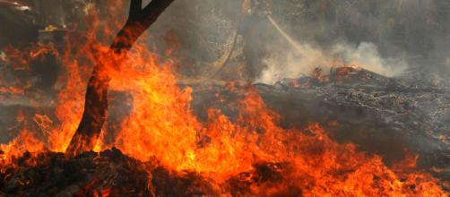 Incendios - La provincia andaluza se convierte en pasto de las llamas durante esta ola de calor