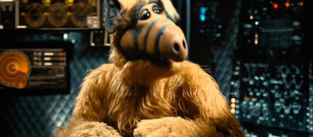 ALF podría volver a la televisión tras 20 años ALF podría volver a la televisión tras 20 años