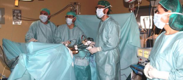 Trasplantes de órganos creados en laboratorio son la esperanza de la medicina regenerativa Trasplantes de órganos creados en laboratorio son la esperanza de la medicina regenerativa