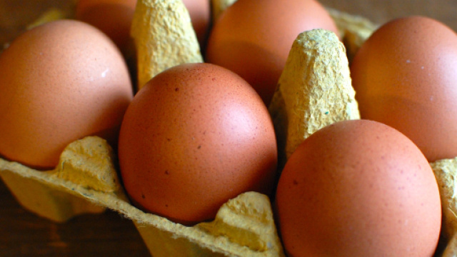 Uova fresche con salmonella ritirate dal Ministero della Salute - laversionedienrica.it