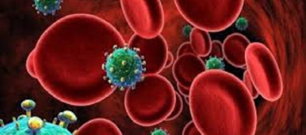 Científicos investigan anticuerpos que neutralizan virus del SIDA Científicos investigan anticuerpos que neutralizan virus del SIDA