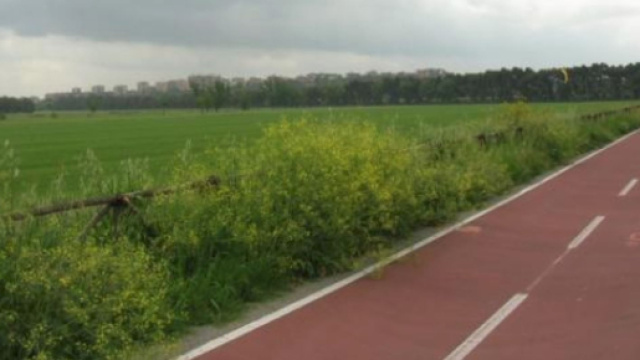 Jesolo, bimba di 5 anni travolta e ferita sulla ciclabile: dovr&agrave; pagare una multa da venti euro