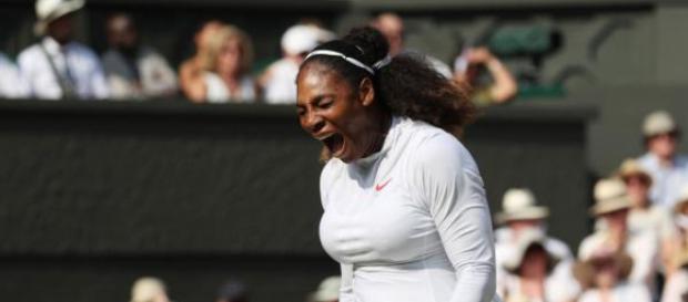 Serena Williams screams in anguish at Wimbledon Serena Williams screams in anguish at Wimbledon