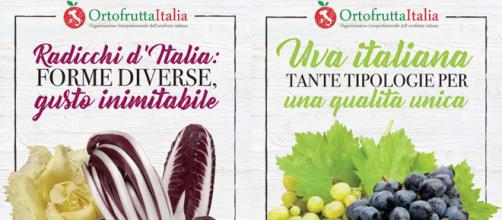Poster istituzionali di Ortofrutta Italia e Mipaaft sulla campagna di sensibilizzazione