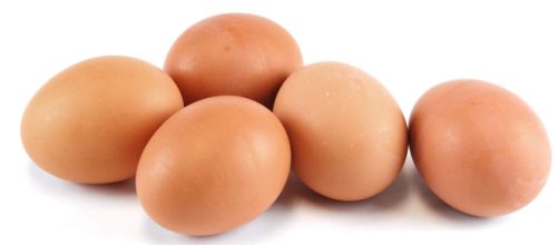 Uova fresche ritirate per contagio da salmonella