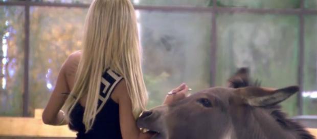 Oriana, asustada por un burro en la casa de Guadalix Oriana, asustada por un burro en la casa de Guadalix
