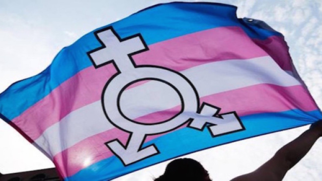 Gender X: possibilità di cambiare il genere sui certificati di nascita per i newyorkesi