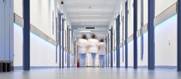 Un medico puliva i molluschi nel lavandino del bagno dell'ospedale. Un medico puliva i molluschi nel lavandino del bagno dell'ospedale.
