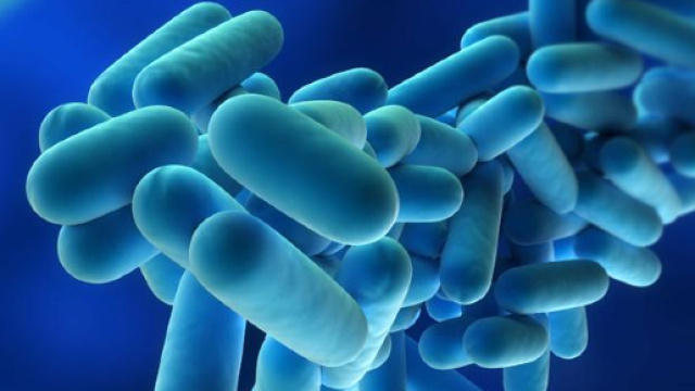 Altri due ricoveri per legionella a Monza di cui uno grave.