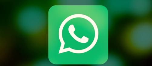 WhatsApp: prossimamente potrebbe essere lanciata la modalità notturna.
