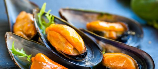 Cozze contaminate: il pericolo per i consumatori Cozze contaminate: il pericolo per i consumatori