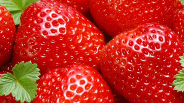 Le fragole dell'Australia sono state sabotate.