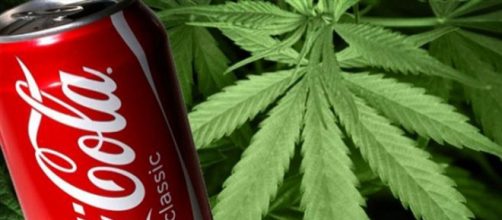 Coca Cola alla cannabis: in cosa consisterà la nuova bevanda
