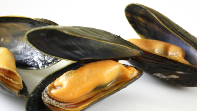 Cozza vive contaminate: è allerta in tutta Italia