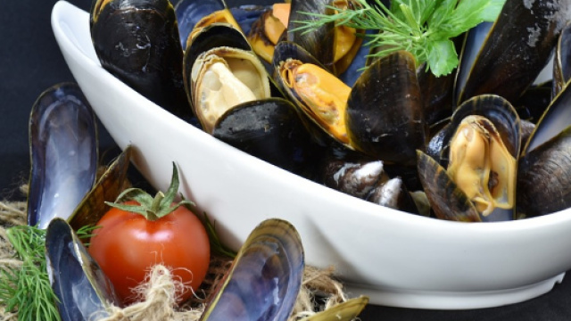 Allarme Escherichia Coli per le cozze refrigerate in Italia (Ph. Pixabay.com-RitaE).