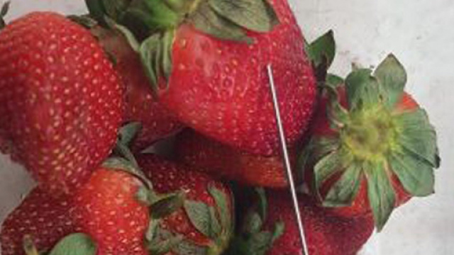 Fragole con dentro aghi da una settimana nei supermercati australiani: arrestato un giovane responsabile dello 'scherzo'.