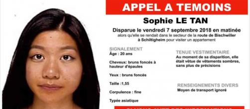 Strasbourg : les habitants de la région ont organisé une battue pour retrouver la trace de Sophie Le Tan.