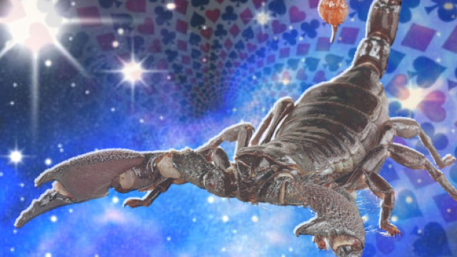 Oroscopo del giorno 26 settembre 2018, previsioni e classifica: Scorpione segno 'top' di mercoledì