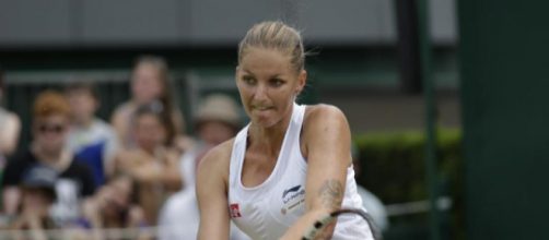 Karolina Pliskova - Alchetron, The Free Social Encyclopedia - alchetron.com