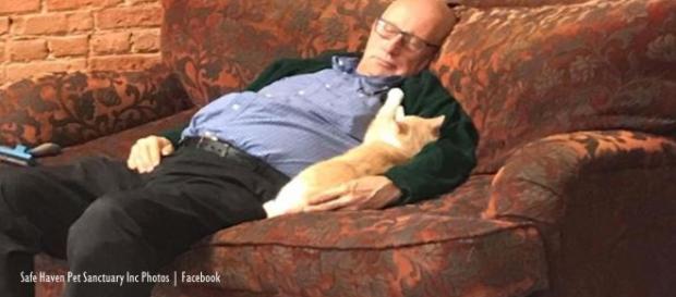 Viral photos of volunteer at Safe Haven Pet Sanctuary Inc go viral, raise funds Image credits - Safe Haven Pet Sanctuary Inc Photos | Facebook Viral photos of volunteer at Safe Haven Pet Sanctuary Inc go viral, raise funds Image credits - Safe Haven Pet Sanctuary Inc Photos | Facebook