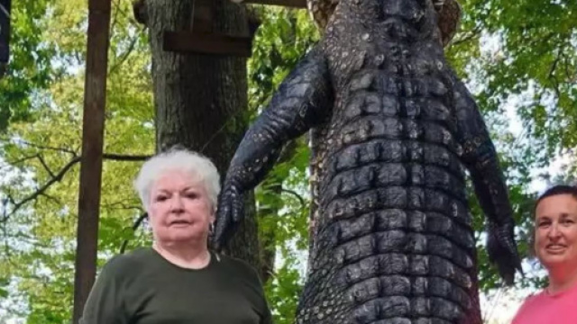 Nonna uccide un coccodrillo: la foto riportata da Indipendent.