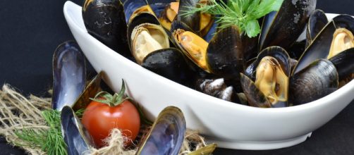 Cozze: pericolo Escherichia Coli, pericolo da non sottovalutare (Ph. Ritae - Pixabay.com)