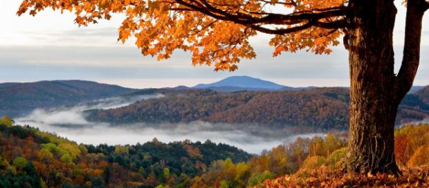5 Parchi Nazionali dove ammirare il foliage - (foto lonelyplanet.com) 5 Parchi Nazionali dove ammirare il foliage - (foto lonelyplanet.com)