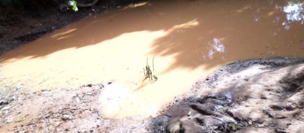 The community and the surrounding area are been suffering from a chronic water crisis. image: Paul Nyojah Dalafu/Sanguli-Saboba/NR The community and the surrounding area are been suffering from a chronic water crisis. image: Paul Nyojah Dalafu/Sanguli-Saboba/NR