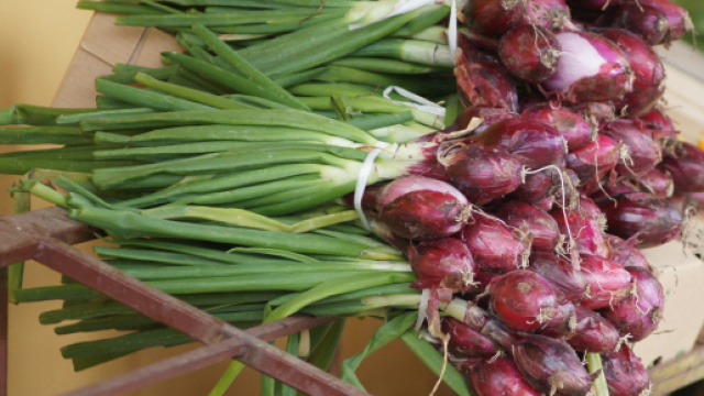 Cipolle rossa di Tropea denomazione IGP