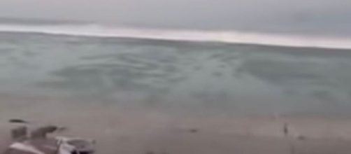 Tsunami a Sulawesi, onda di 2 metri si abbatte sulla spiaggia