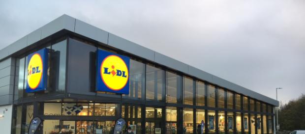 Lidl, dipendenti al gelo: gestore punto vendita a Torino licenziato per essersi lamentato Lidl, dipendenti al gelo: gestore punto vendita a Torino licenziato per essersi lamentato