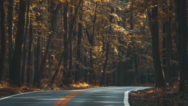 Gli incentivi rottamazione auto di settembre 2018 per Ford, Opel e Renault