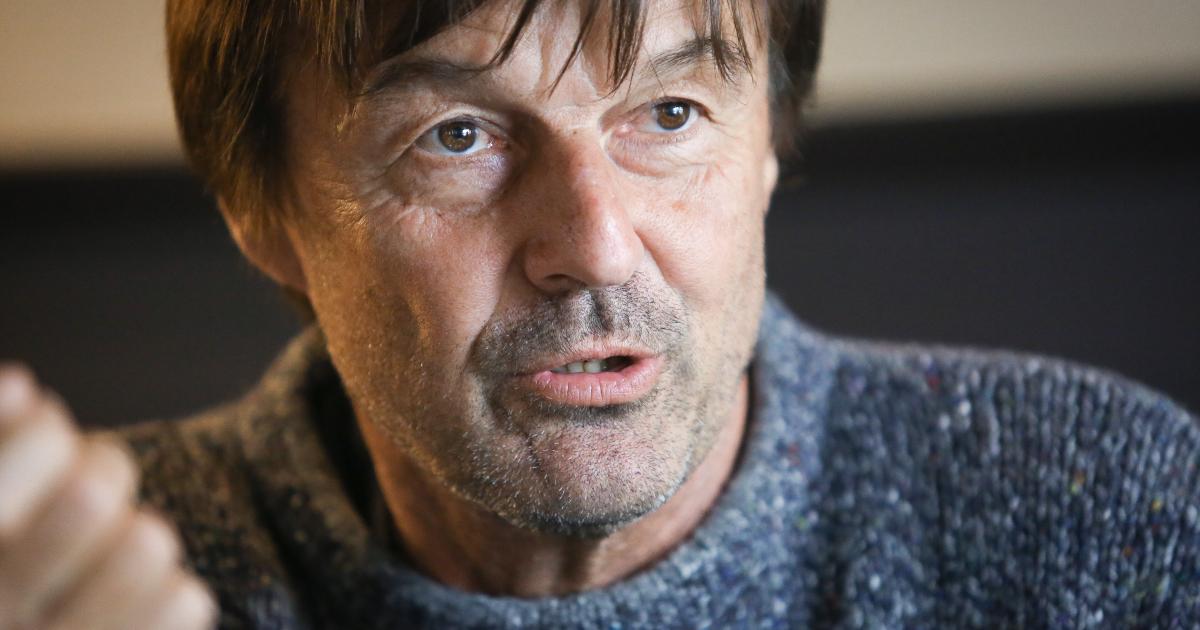 Quelles Sont Les Origines De Nicolas Hulot Départ de Nicolas Hulot : il faut remettre la finance au service de l