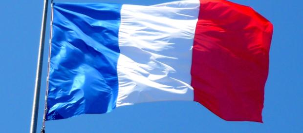 La patrie perd ses forces vives et ses contribuables La patrie perd ses forces vives et ses contribuables