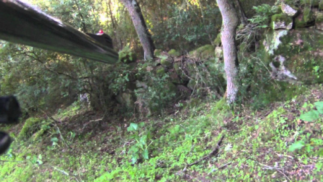 Imperia, diciannovenne ucciso in una battuta di caccia al cinghiale