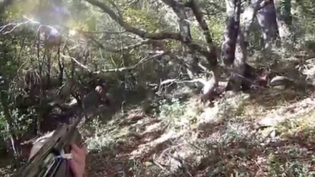 Oggi un 19enne che passeggiava in un bosco è stato ucciso da un cacciatore che l'ha scambiato per una preda.