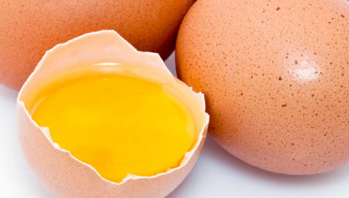Calvizie: nel tuorlo d'uovo l'arma vincente contro l'alopecia, i risultati  dello studio