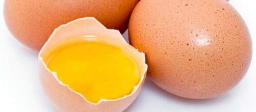 Tuorlo d'uovo e calvizie: i risultati di una recente scoperta
