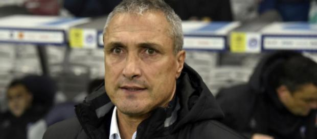 Bernard Casoni est convaincu que Luiz Gustavo doit être placé au milieu de terrain et non en défense. Bernard Casoni est convaincu que Luiz Gustavo doit être placé au milieu de terrain et non en défense.