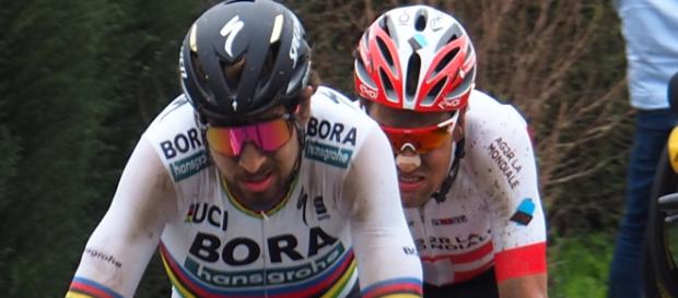 Peter Sagan inizia il suo 2019 al Tour Down Under Peter Sagan inizia il suo 2019 al Tour Down Under