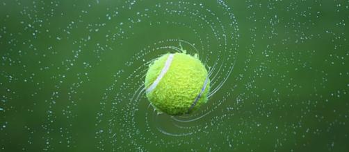A tennis ball, much like one Andy Murray would use. [Image via Bess-Hamiti - Pixabay]
