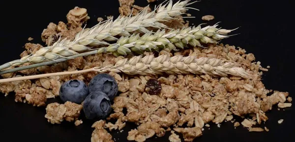 A high-fibre diet reduces the risk of stroke, heart disease and cancer. [Image Pixabay]