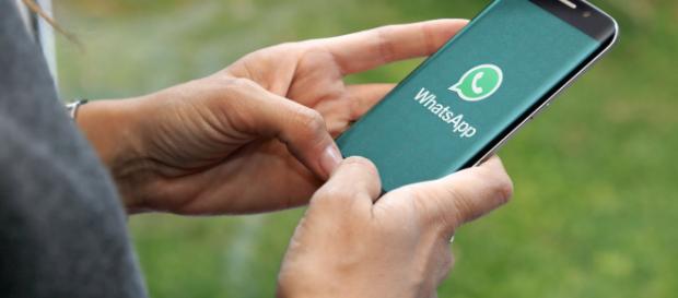WhatsApp diventerà più sicuro e rispettoso della privacy WhatsApp diventerà più sicuro e rispettoso della privacy