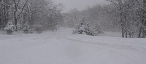 Snowpocalypse 2019 is rolling in. [Image via Jrmichae/Wikimedia Commons]