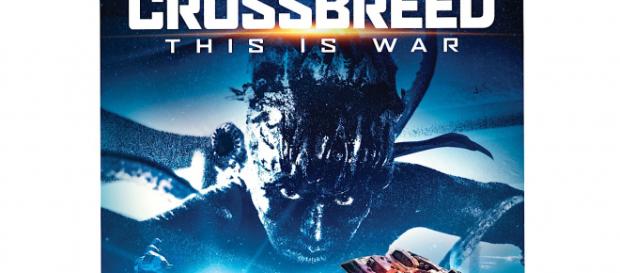 Brandon Slagle is the director of 'Crossbreed' starring Vivica A. Fox. / Image via Clint Morris, October Coast PR, used with permission. Brandon Slagle is the director of 'Crossbreed' starring Vivica A. Fox. / Image via Clint Morris, October Coast PR, used with permission.