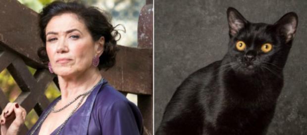 Valentina manda Sampaio matar León em O Sétimo Guardião (Foto: TV Globo) Valentina manda Sampaio matar León em O Sétimo Guardião (Foto: TV Globo)
