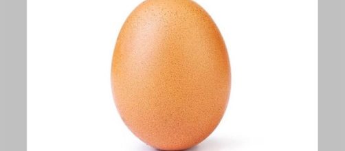 Imagem foi publicada pelo perfil 'Egg Gang'. (Foto Reprodução / Instagram)